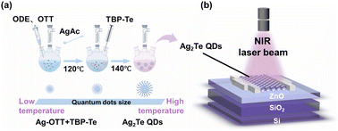 Graphical abstract: A high-performance solution-processed near-infrared phototransistor with a non-toxic Ag2Te colloidal quantum dots/ZnO heterostructure channel