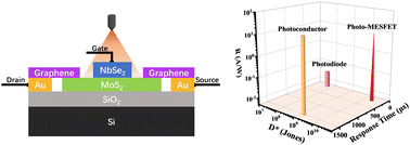 Graphical abstract: Photo-driven all-2D van der Waals metal–semiconductor field-effect transistors for high-performance photodetection