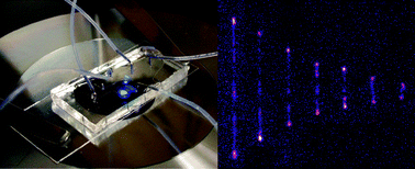 Graphical abstract: Microfluidic systems for single DNA dynamics
