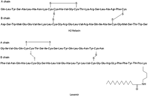 Graphical abstract: Quantification of recombinant human relaxin-2 (B-29/A-24) in non-pregnant rat plasma using ultra performance liquid chromatography-mass spectrometry
