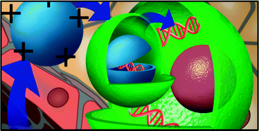 Graphical abstract: Switchable delivery of small interfering RNA using a negatively charged pH-responsive polyethylenimine-based polyelectrolyte complex