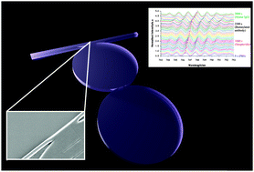 Graphical abstract: Polymer dual ring resonators for label-free optical biosensing using microfluidics