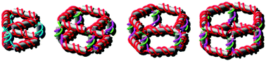 Graphical abstract: Self-assembly of DNA nanoprisms with only two component strands