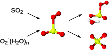 Graphical abstract: On the gas-phase reaction between SO2 and O2−(H2O)0–3 clusters – an ab initio study