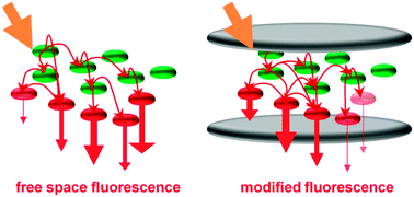Graphical abstract: Manipulating the excitation transfer in Photosystem I using a Fabry–Perot metal resonator with optical subwavelength dimensions