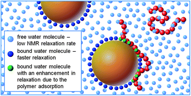 Graphical abstract: The use of solvent relaxation NMR to study colloidal suspensions