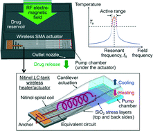 Graphical abstract: Wireless implantable chip with integrated nitinol-based pump for radio-controlled local drug delivery
