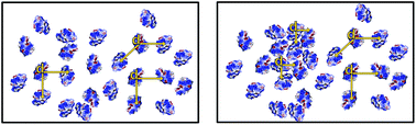 Graphical abstract: Influence of sorbitol on protein crowding in solution and freeze-concentrated phases