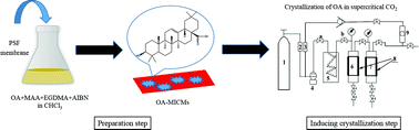 Graphical abstract: Preparation and evaluation of molecularly imprinted composite membranes for inducing crystallization of oleanolic acid in supercritical CO2