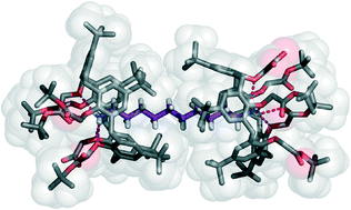 Graphical abstract: α,ω-Alkanediyldiammonium dications sealed within calix[5]arene capsules with a hydrophobic bayonet-mount fastening