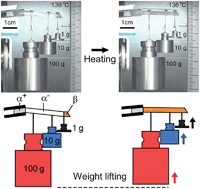 Graphical abstract: Shape-memory effect in an organosuperelastic crystal