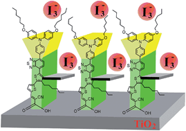 Graphical abstract: Effect of bridging group configuration on photophysical and photovoltaic performance in dye-sensitized solar cells