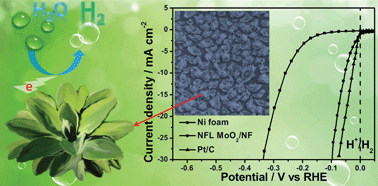 Graphical abstract: Nanoflower-like metallic conductive MoO2 as a high-performance non-precious metal electrocatalyst for the hydrogen evolution reaction