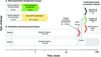Graphical abstract: Implications of direct amplification for measuring antimicrobial resistance using point-of-care devices