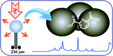 Graphical abstract: SERS of meso-droplets supported on superhydrophobic wires allows exquisitely sensitive detection of dipicolinic acid, an anthrax biomarker, considerably below the infective dose