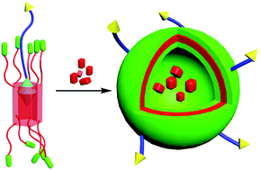 Graphical abstract: Multifunctional supramolecular vesicles based on the complex of ferrocenecarboxylic acid capped pillar[5]arene and a galactose derivative for targeted drug delivery