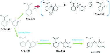 Graphical abstract: Aqueous chlorination of mefenamic acid: kinetics, transformation by-products and ecotoxicity assessment