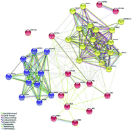 Graphical abstract: Digestion of cooked meat proteins is slightly affected by age as assessed using the dynamic gastrointestinal TIM model and mass spectrometry