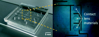 Graphical abstract: A contact-lens-on-a-chip companion diagnostic tool for personalized medicine