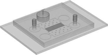 Graphical abstract: A lab-on-a-chip device for investigating the fusion process of olfactory ensheathing cell spheroids