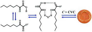 Graphical abstract: Vesicles of 2-ketooctanoic acid in water