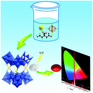Graphical abstract: A luminescent polyoxoniobate lanthanide derivative {Eu3(H2O)9[Nb48O138(H2O)6]}27−