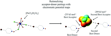 Graphical abstract: A new Pu(iii) coordination geometry in (C5H5NBr)2[PuCl3(H2O)5]·2Cl·2H2O as obtained via supramolecular assembly in aqueous, high chloride media