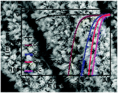 Graphical abstract: A Cu3P–CoP hybrid nanowire array: a superior electrocatalyst for acidic hydrogen evolution reactions