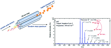 Graphical abstract: Multiple electron capture from isolated protein poly-anions in collision with slow highly charged ions