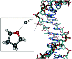 Graphical abstract: Modelling charge transfer processes in C2+–tetrahydrofuran collision for ion-induced radiation damage in DNA building blocks