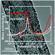 Graphical abstract: Pd-P nanoparticles supported on PxOy-incorporated carbon nanotubes for enhanced methanol oxidation in an alkaline medium