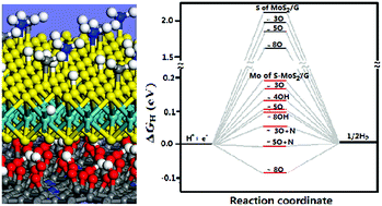 Graphical abstract: Tuning the activity of the inert MoS2 surface via graphene oxide support doping towards chemical functionalization and hydrogen evolution: a density functional study