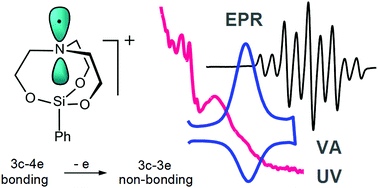 Graphical abstract: Radical cations of phenyl silatrane