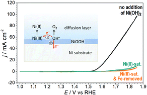 Graphical abstract: Roles of soluble species in the alkaline oxygen evolution reaction on a nickel anode