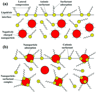 Graphical abstract: Insights into the complex interaction between hydrophilic nanoparticles and ionic surfactants at the liquid/air interface