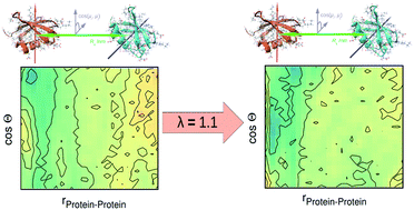 Graphical abstract: Macromolecular crowding and the importance of proper hydration for the structure and dynamics of protein solutions
