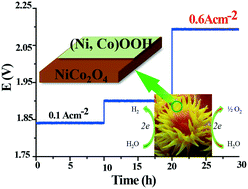 Graphical abstract: Sea coral-like NiCo2O4@(Ni, Co)OOH heterojunctions for enhancing overall water-splitting