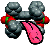 Graphical abstract: Mono-oxo molybdenum(vi) and tungsten(vi) complexes bearing chelating aryloxides: synthesis, structure and ring opening polymerization of cyclic esters