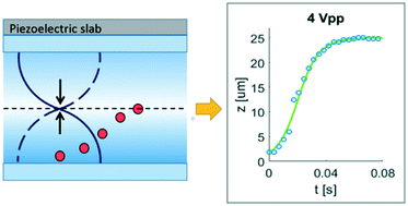 Graphical abstract: Retrieving acoustic energy densities and local pressure amplitudes in microfluidics by holographic time-lapse imaging