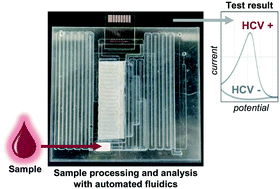 Graphical abstract: A fully-integrated and automated testing device for PCR-free viral nucleic acid detection in whole blood