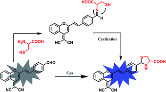 Graphical abstract: A fluorescent probe for the specific detection of cysteine in human serum samples