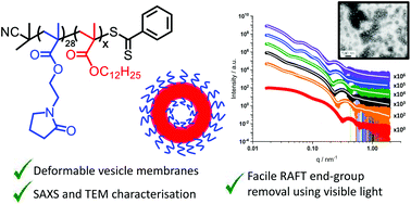 Graphical abstract: RAFT dispersion polymerisation of lauryl methacrylate in ethanol–water binary mixtures: synthesis of diblock copolymer vesicles with deformable membranes