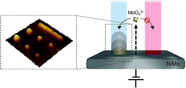 Graphical abstract: On the reconstruction of NiMo electrocatalysts by operando spectroscopy