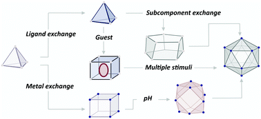 Graphical abstract: Transformation networks of metal–organic cages controlled by chemical stimuli