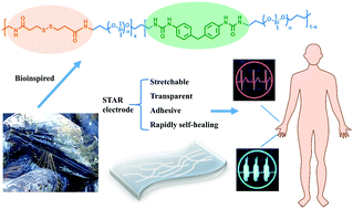 Graphical abstract: A Lamellibranchia-inspired epidermal electrode for electrophysiology