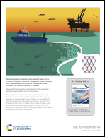 Graphical abstract: Back cover