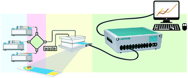 Graphical abstract: Electrochemical flow injection analysis of the interaction between pyrroloquinoline quinone (PQQ) and α-synuclein peptides related to Parkinson's disease