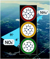 Graphical abstract: Electrocatalytic nitrate reduction with Co-based catalysts: comparison of DIM, TIM and cyclam ligands