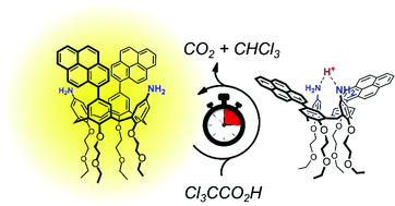 Graphical abstract: Dissipative control of the fluorescence of a 1,3-dipyrenyl calix[4]arene in the cone conformation