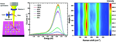 Graphical abstract: Extended anisotropic phonon dispersion and optical properties of two-dimensional ternary SnSSe